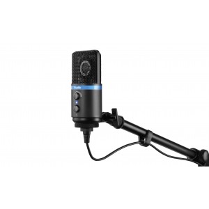 copy of IK Multimedia iRig 2